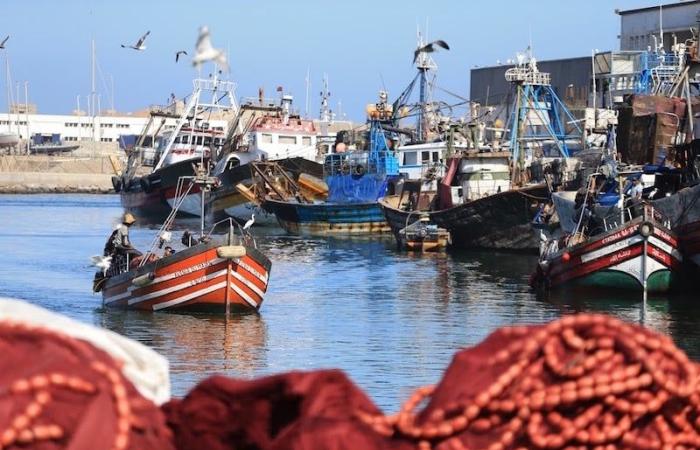 مهنيو الصيد البحري يطالبون بالمراقبة والزجر في فترات الراحة البيولوجية