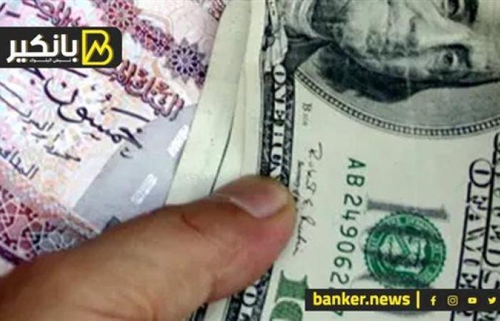 سعر الدولار أمام الجنيه المصري في تعاملات اليوم الأحد 1-12-2024