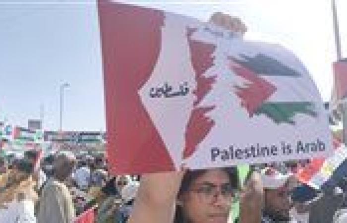 مظاهرات حاشدة في عدد من العواصم الأوروبية دعما للشعب الفلسطيني