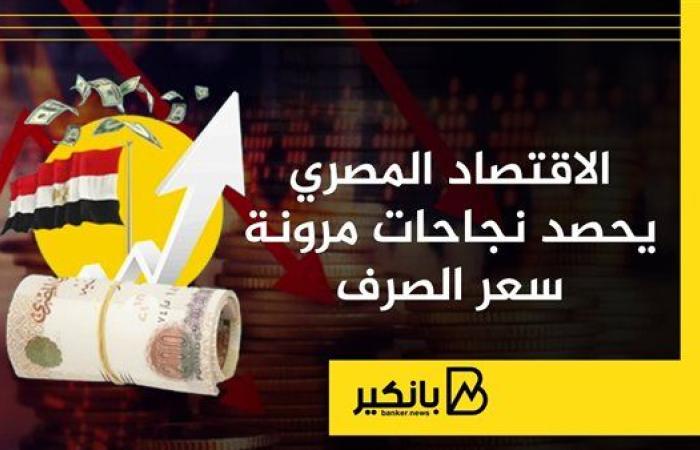 الاقتصاد المصري يحصد نجاحات مرونة سعر الصرف