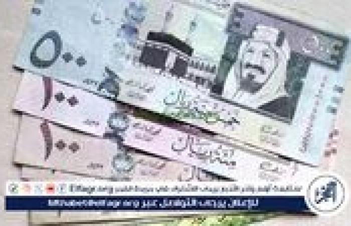 تراجع سعر الريال السعودي أمام الجنيه المصري في البنوك اليوم