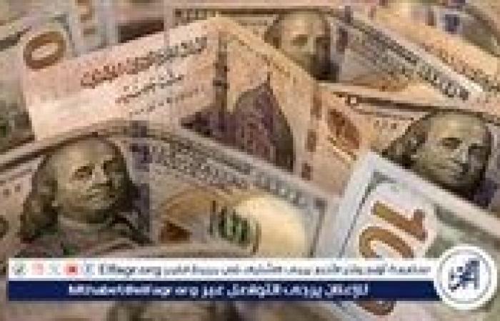 سعر الدولار اليوم مقابل الجنيه المصري الاثنين 2 ديسمبر 2024: استقرار مع انخفاض طفيف