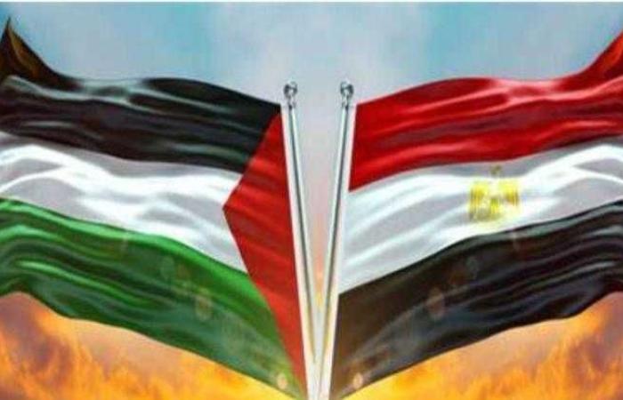 مصر تنتصر لفلسطين.. القاهرة تكثف جهودها لوقف إطلاق النار في غزة