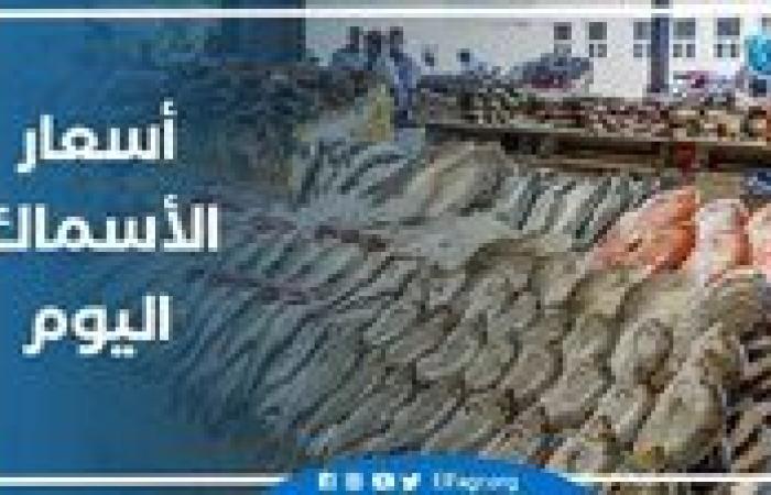 أسعار السمك اليوم الثلاثاء 3-12-2024 في محافظة قنا