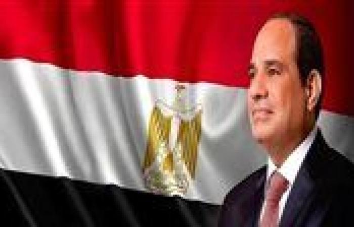 الرئيس السيسي: الدولة ستواصل دعم ذوي الهمم لأن الوطن ينهض بسواعد أبنائه