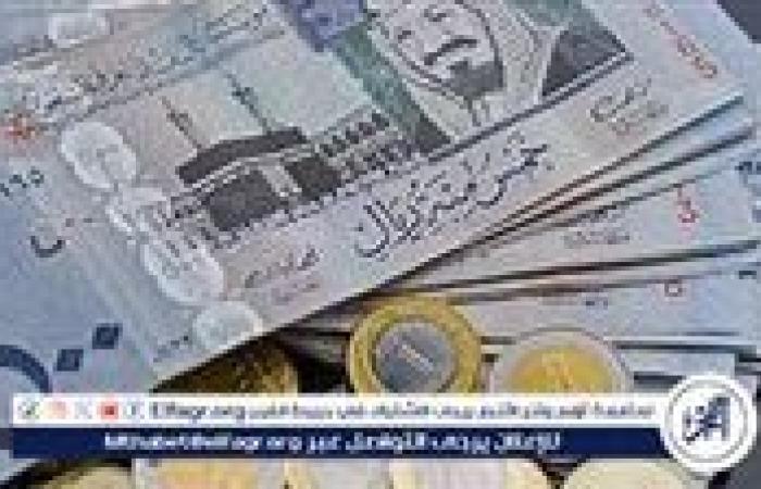 استقرار سعر الريال السعودي مقابل الجنيه المصري اليوم الثلاثاء 3 ديسمبر 2024