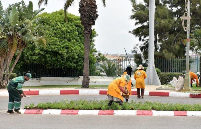 مطالب
      تروم
      إنصاف
      "عمال
      الإنعاش" - غاية التعليمية