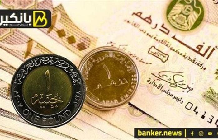 سعر الدرهم الإماراتي أمام الجنيه المصري في نهاية تعاملات اليوم الأربعاء 4-12-2024