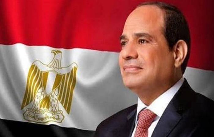 الرئيس السيسي يصل مملكة الدنمارك في مستهل جولة أوروبية