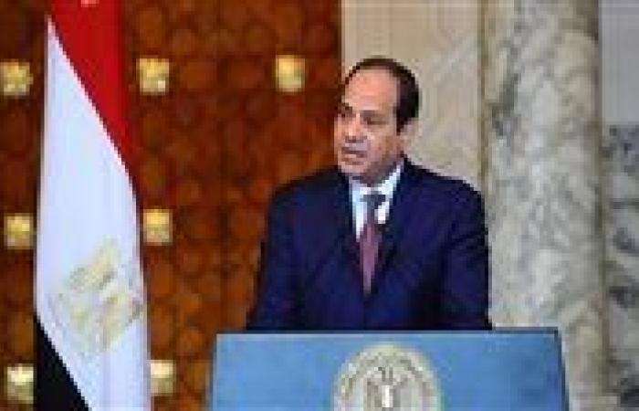 السيسي يبحث فرص تعزيز استثمارات «شركاء كوبنهاجن للبنية التحتية» في مصر