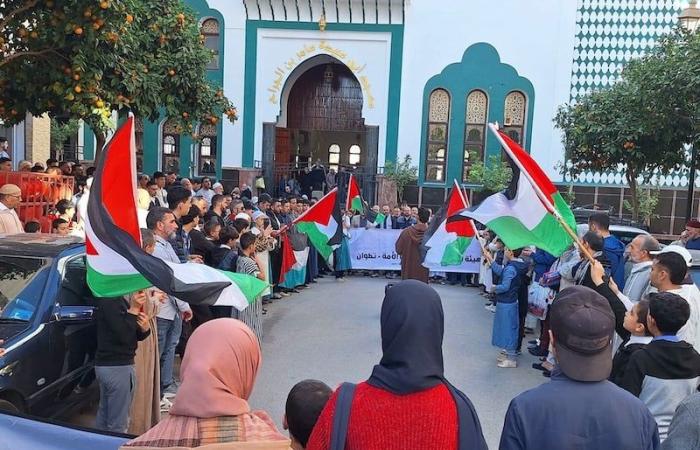 مائة وقفة بالمغرب تؤازر فلسطين