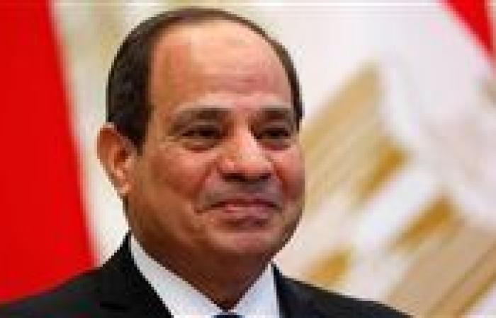 الرئيس السيسي: العلاقات بين مصر والدنمارك قوية وعميقة وشهدت تطورا ملحوظا