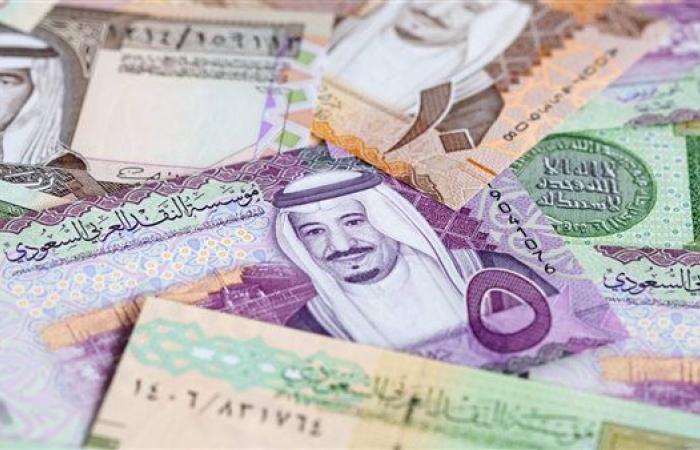 سعر الريال السعودي اليوم الاثنين 9-12-2024 في البنك المركزي المصري