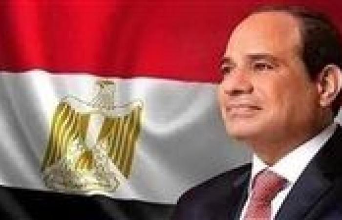 مصر والنرويج تؤكدان الحرص على الارتقاء بالعلاقات الاقتصادية والتجارية والاستثمارية المشتركة