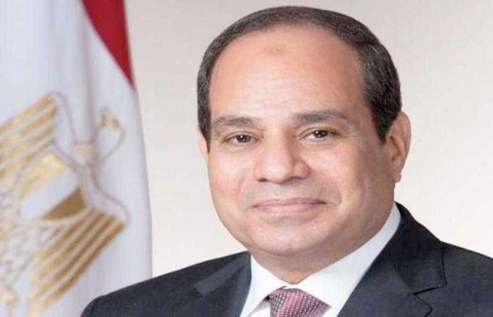 الرئيس السيسي يُؤكد ضرورة مواصلة تعزيز التعاون البرلماني بين مصر والنرويج