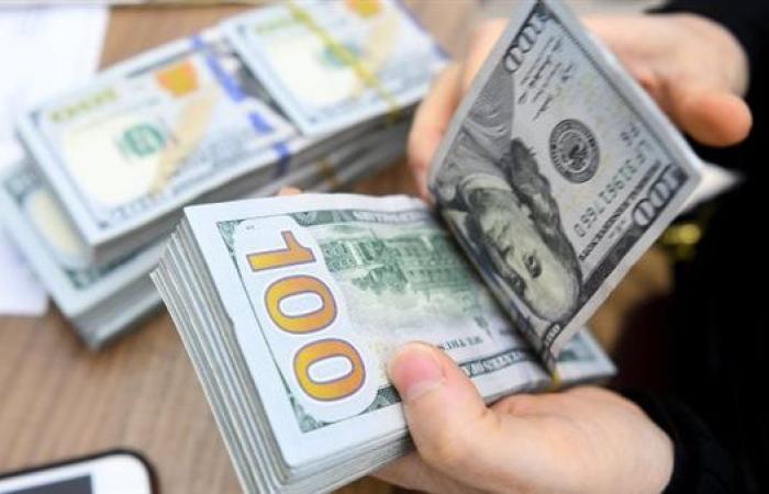 سعر الدولار اليوم الثلاثاء 10-12-2024 في البنك المركزي المصري