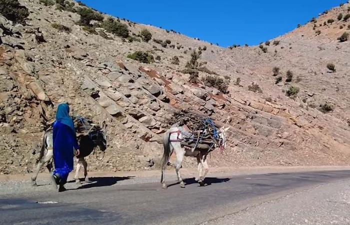 سكان الجبال  يواجهون البرد