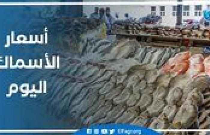 أسعار السمك اليوم الأربعاء 11-12-2024 في الدقهلية