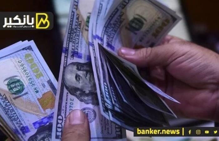 سعر الدولار أمام الجنيه المصري في تعاملات اليوم الأربعاء 11-12-2024