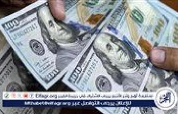 استقرار سعر الدولار مقابل الجنيه المصري اليوم الخميس 12 ديسمبر 2024