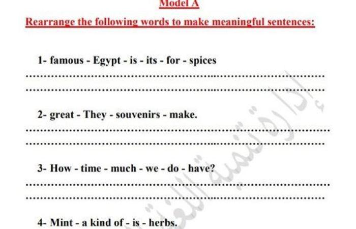 مراجعات نهائية.. أسئلة تقييم الاسبوع الـ 13 في اللغة الإنجليزية لـ الصف السادس الابتدائي