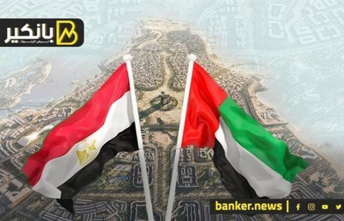 لو بتسأل مليارات راس الحكمة والقروض راحت فين.. أعرف التفاصيل كاملة