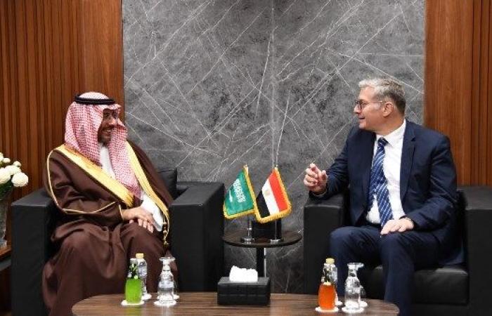 مصر والسعودية تؤكدان أهمية استغلال الثروات المعدنية لتعزيز التعاون الصناعي