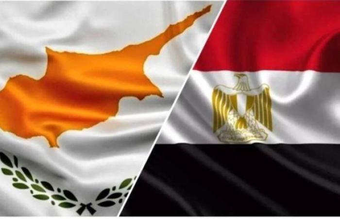 مصر وقبرص تؤكدان الطابع الاستراتيجي للعلاقات الثنائية بين البلدين