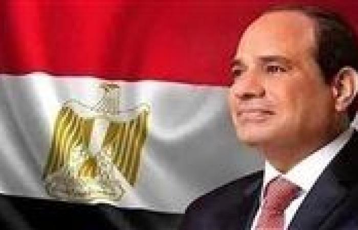 الرئيس السيسي ونظيره الأندونيسي يؤكدان أهمية تعزيز التعاون التجاري والاستثماري المشترك