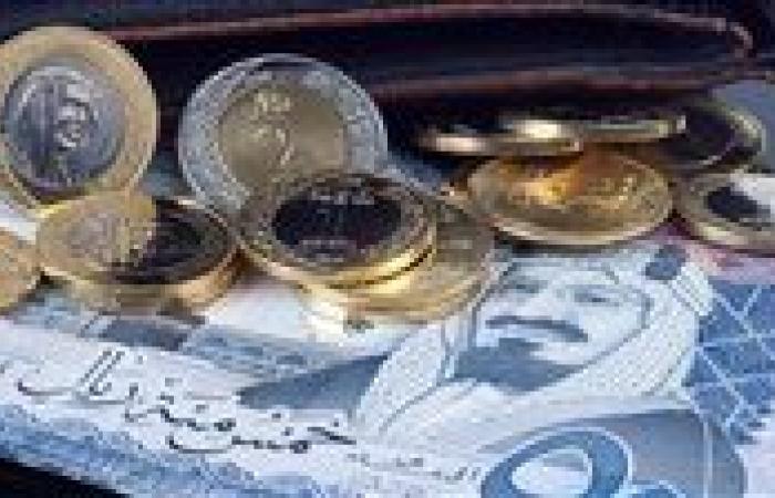 سعر الريال السعودي مقابل الجنيه المصري اليوم الجمعة 20 ديسمبر 2024