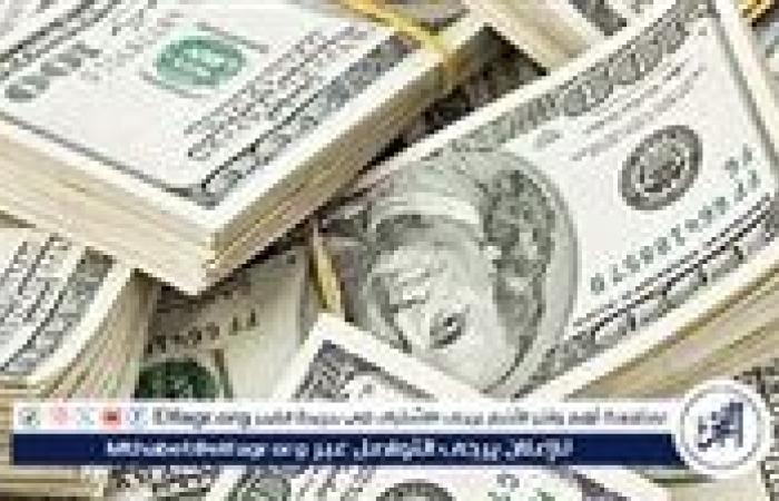 سعر الدولار اليوم السبت 21 ديسمبر 2024 في البنوك المصرية: استقرار مع ارتفاع عالمي