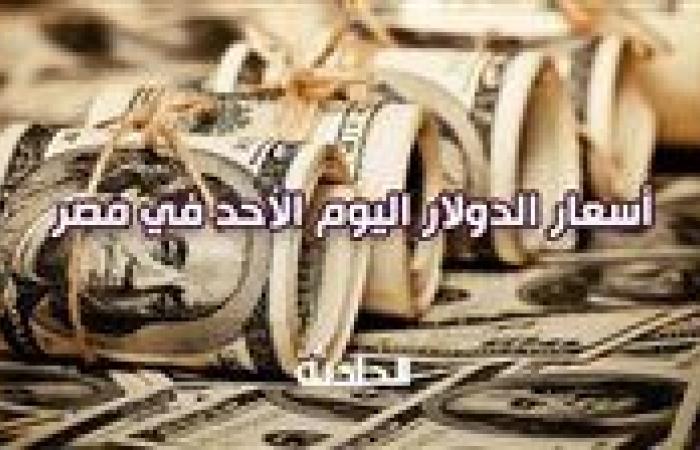 لأول مرة يتخطى حاجز الـ 51.. سعر الدولار اليوم الأحد 22 ديسمبر 2024