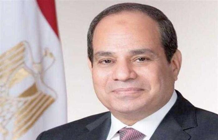 الرئيس السيسي يطلع على دور النقل الجوي في دعم ...