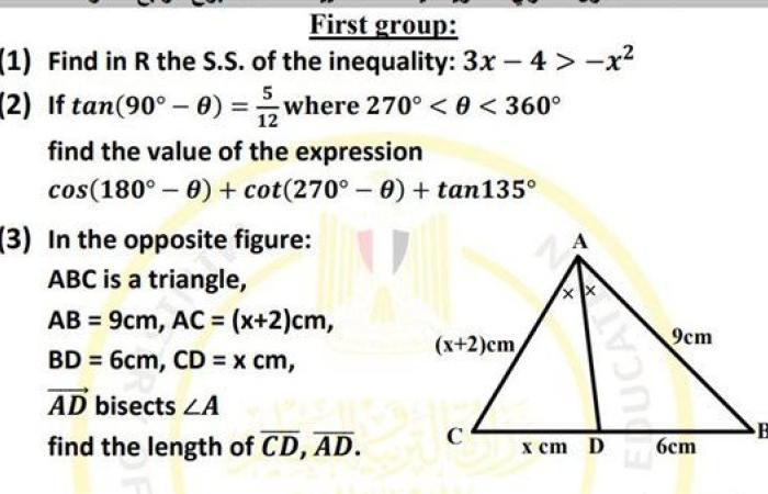 مراجعات نهائية.. أسئلة تقييم الأسبوع الـ 14 الرياضيات Math الصف الأول الثانوي