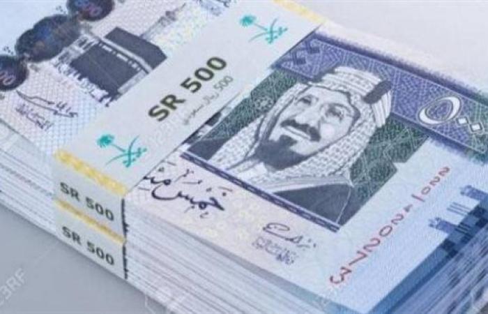 سعر الريال السعودي أمام الجنيه المصري في تعاملات اليوم الإثنين 23-12-2024