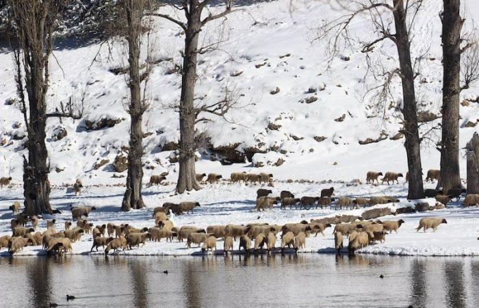 الأرصاد الجوية: أمطار وثلوج مرتقبة في المغرب على مدار أربعة أيام