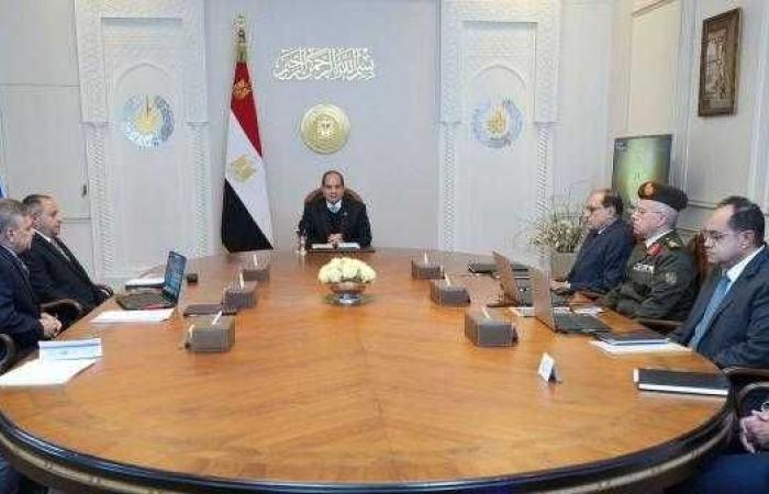 الرئيس السيسي يشدد على ضرورة تعظيم العائد ...