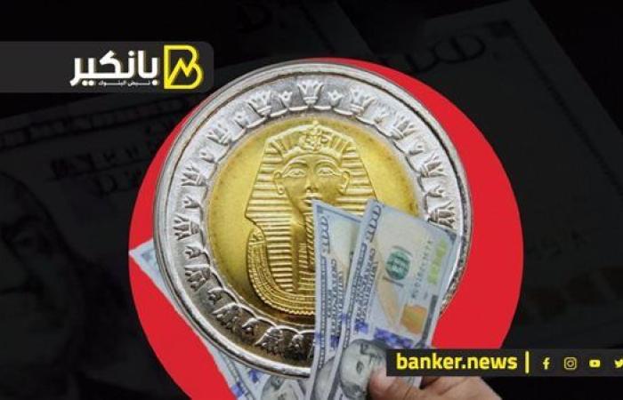 الجنيه يرتفع أمام الدولار قبل ساعات من حسم البنك المركزي المصري لسعر الفائدة