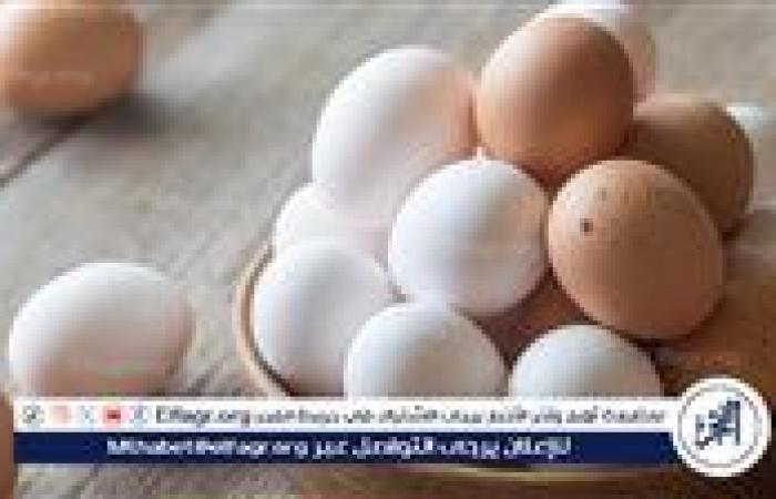 اسعار البيض اليوم السبت 28-12-2024 في الدقهلية