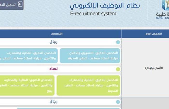 وظيفة جامعة.. الجامعة الألمانية بالقاهرة وجامعة طيبة والجامعة القاسمية تعلن عن وظائف أعضاء هيئة تدريس جدد.. سجل هنا