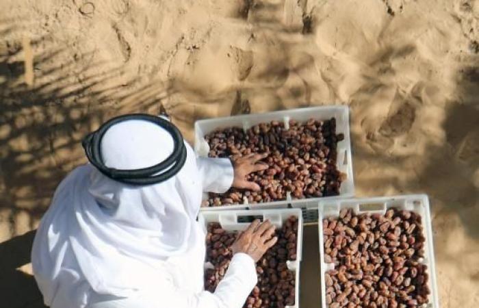 مهرجان
      العين
      للتمور
      يطلق
      دورته
      الأولى
      غداً - غاية التعليمية