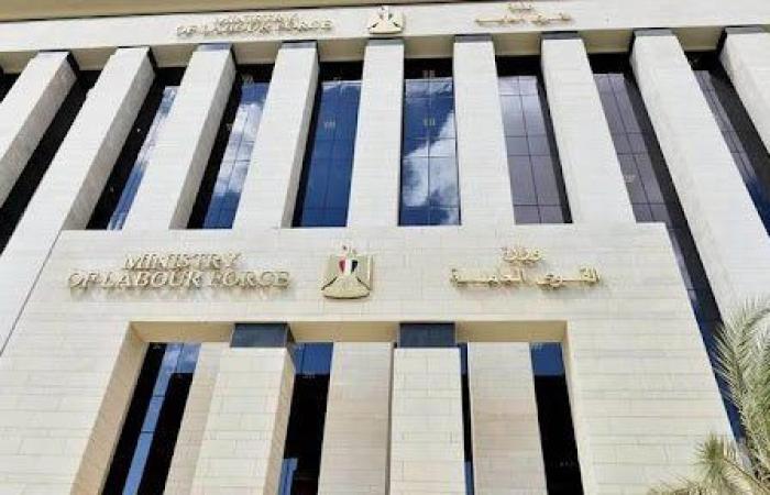 وزارة العمل تكشف عن مستحقات مالية لعمال مصريين لدى شركة سعودية